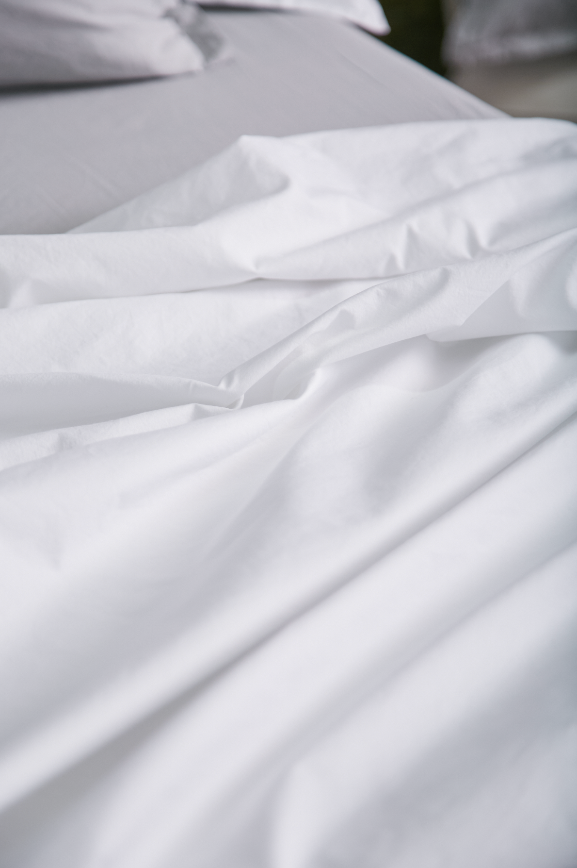 Sei Flat Sheet - Night