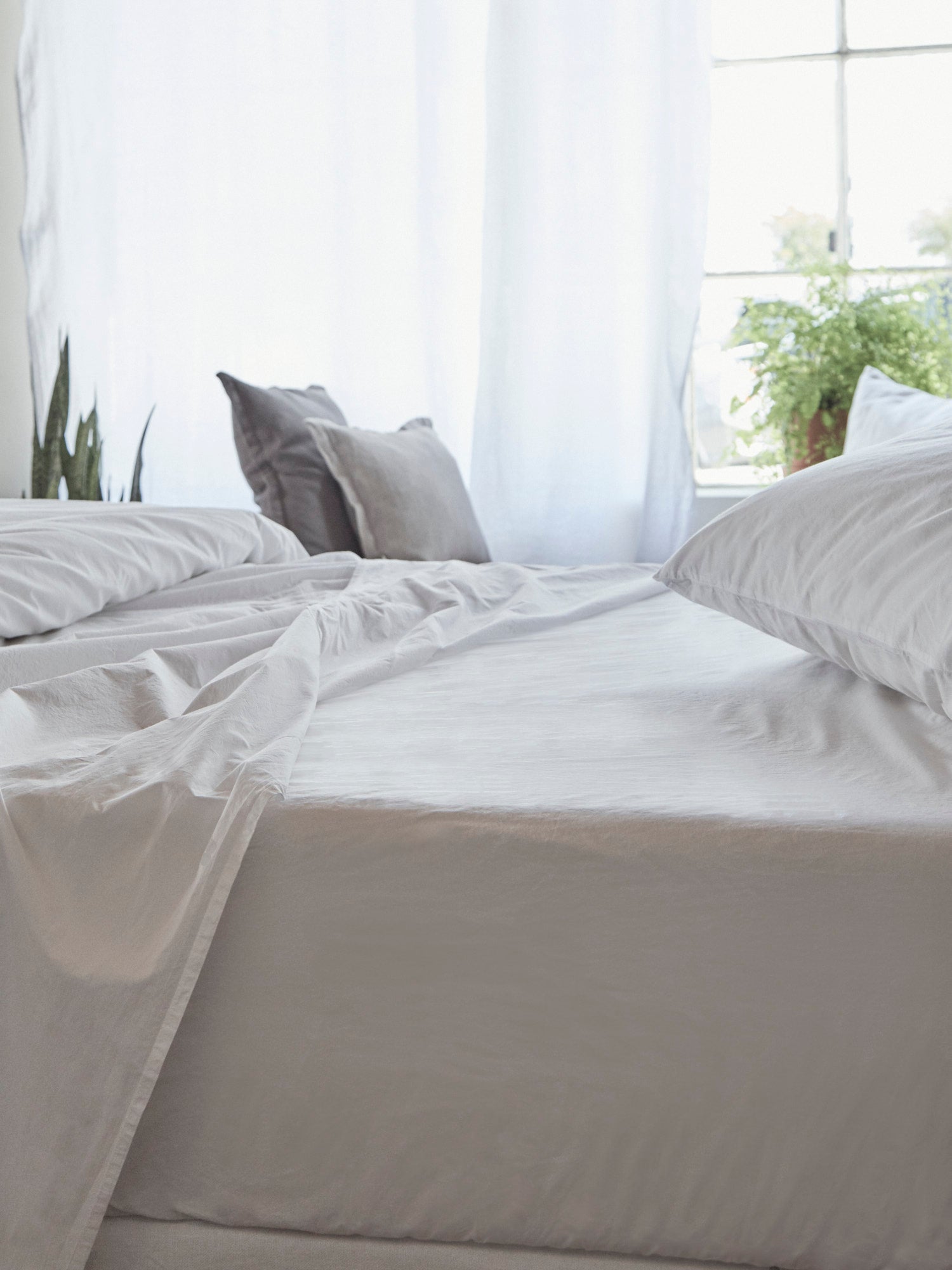 Tru Fitted Sheet - Night